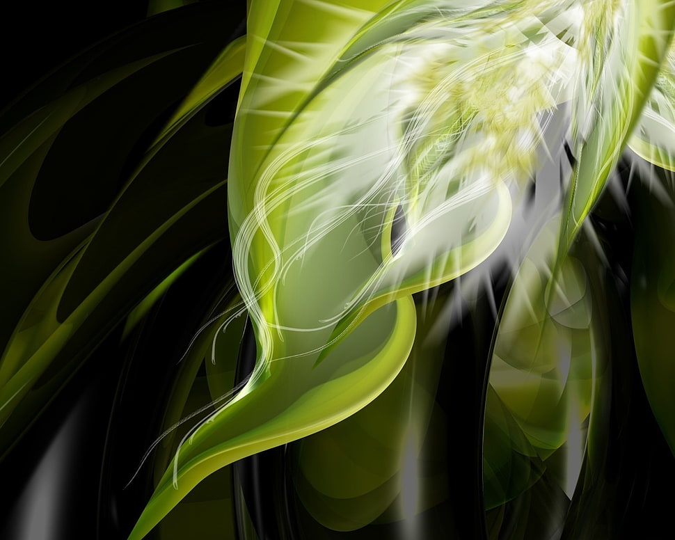 green digital wallpaper HD wallpaper