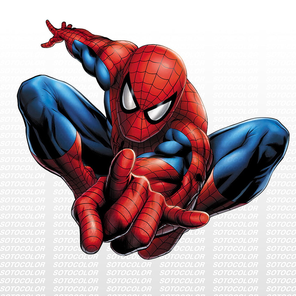 Spider-Man illustration HD wallpaper