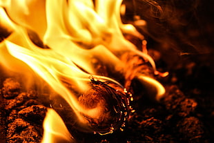 Fire,  Bonfire,  Ashes,  Ash HD wallpaper