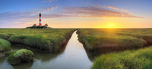 white and red lighthouse, lighthouse, sunset, grass, canal
