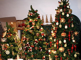 three Christmas Trees HD wallpaper