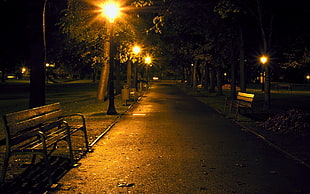 park during night HD wallpaper