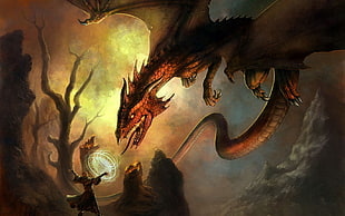 dragon illustration, dragon, fantasy art