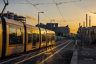 silver train during sunset
