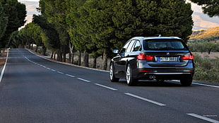 grey BMW station wagon, BMW 3, road, trees, vehicle