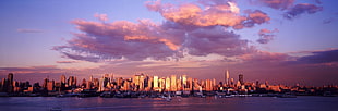 city skyline, city, New York City HD wallpaper