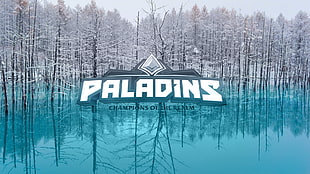 Paladins champions of the Realm logo, Paladin, spes salutis, turquise