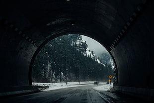 selective color of yellow road signboard beside the tunnel HD wallpaper