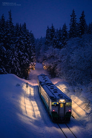 gray train, train, night, winter