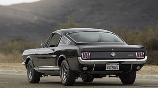 black Ford Mustang GT coupe, car, Ford Mustang Shelby, Shelby GT350 HD wallpaper
