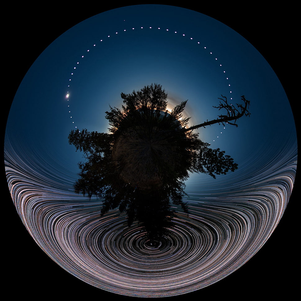 tree under blue sky digital wallpaper, space, universe, black background, stars HD wallpaper