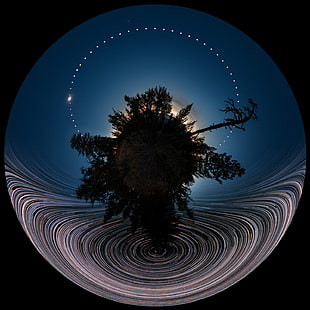 tree under blue sky digital wallpaper, space, universe, black background, stars