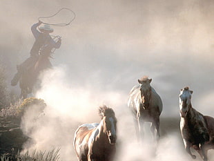 three white horses, horse, cowboys, western, animals HD wallpaper