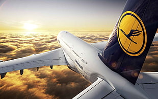 Luftansa airplane, airplane, logo, sky, flying HD wallpaper