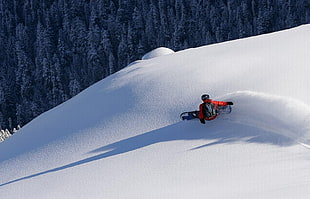 person on snow snowboarding near pine trees