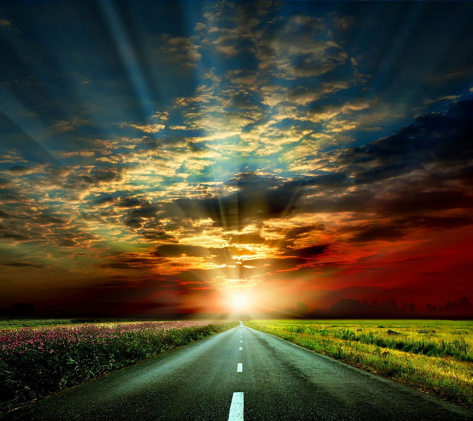 paved road wallpaper, landscape HD wallpaper