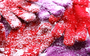 two pairs of red and purple winter gloves covered in snow