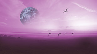 four dinosaur, atmosphere, planet, dinosaurs, purple HD wallpaper