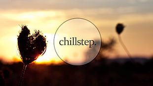 Chillstep text, sunset, Tatof, digital art, typography