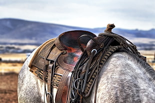 selective focus photography of brown leather horse saddle