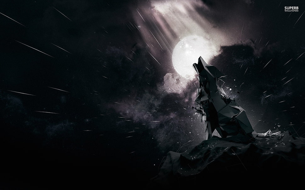 black wolf illustration HD wallpaper