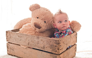 brown teddy bear beside boy wearing blue and red plaid sport shirt inside brown wooden crate