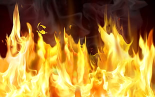 fire illustration