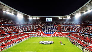 soccer field, Allianz Arena , stadium, FC Bayern , Bayern Munchen HD wallpaper