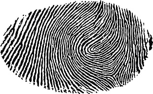 fingerprint illustration, minimalism, white background, fingerprints, black