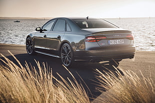 silver Audi parked near body of water during daytime HD wallpaper