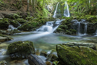 landscape photography of waterfalls near trees during daytrime