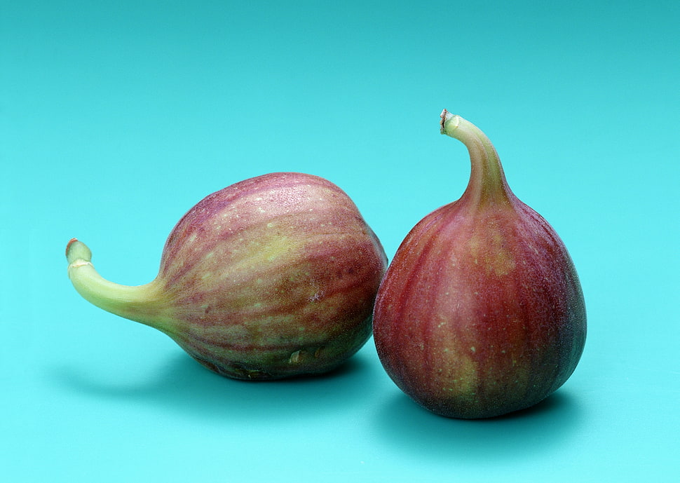 two purple eggplants HD wallpaper