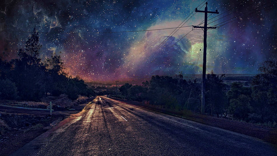 empty road during night HD wallpaper
