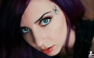 women's black top, Suicide Girls, blue eyes, purple hair, Mizirlou HD wallpaper