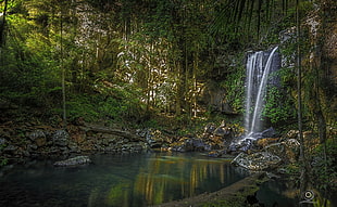 waterfall, nature, waterfall, queensland, Australia