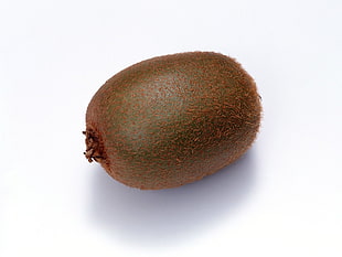 oval brown fur fruit on white surface