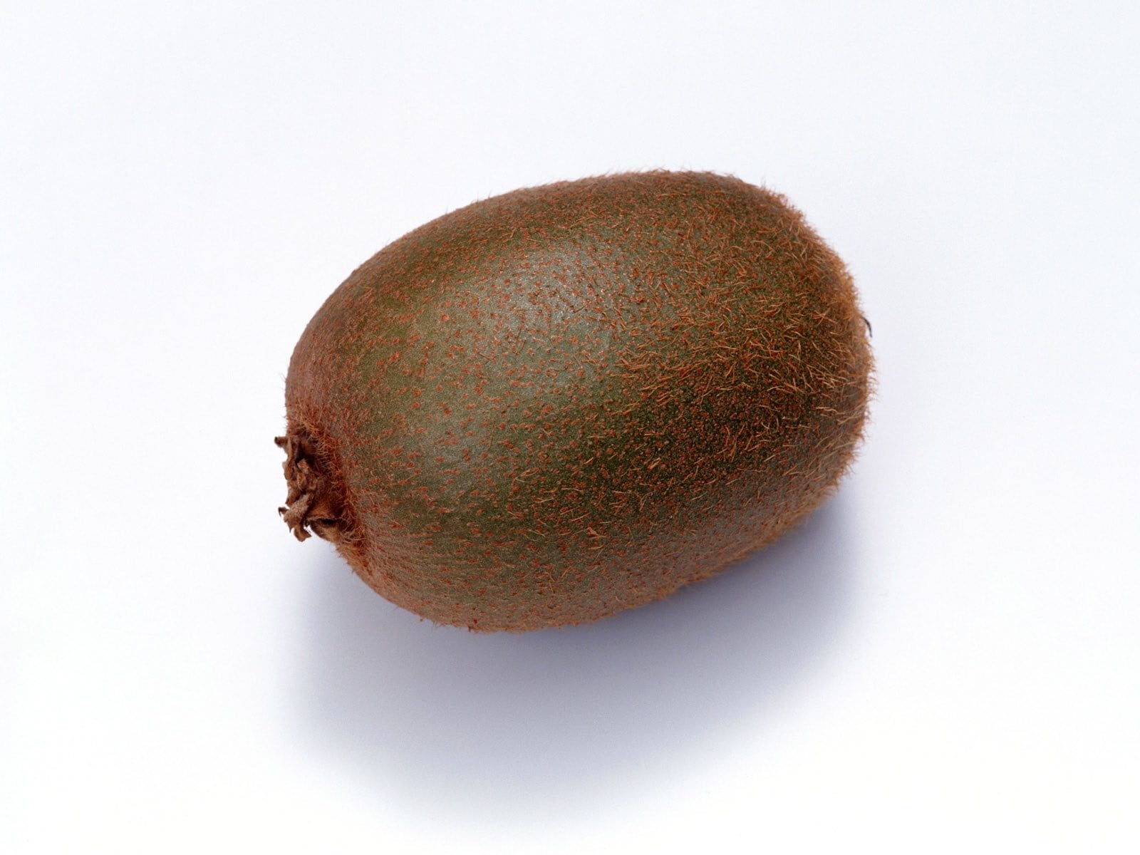 oval brown fur fruit on white surface