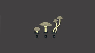 three white mushrooms, mushroom, drugs, minimalism HD wallpaper