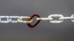 gray and brown chain, metal, chains, rust