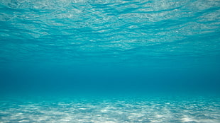 rippling body of water, photography, sea, water, underwater HD wallpaper