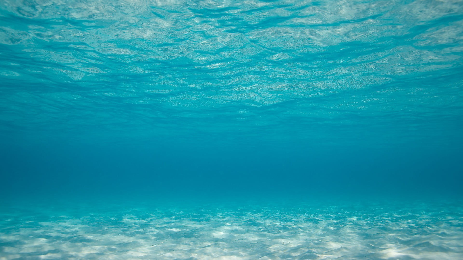 rippling body of water, photography, sea, water, underwater