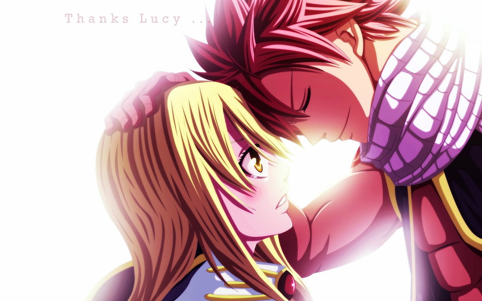 Fairy Tail Natsu Dragneel and Lucy Heartfilia chibi characters