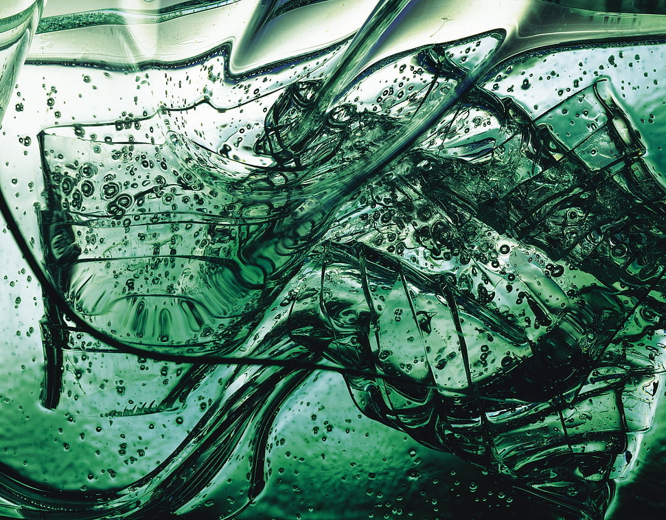 under water photography HD wallpaper