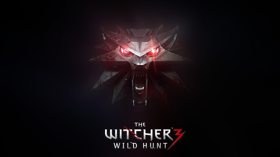 The Witcher 3 Wild Hunt cover, The Witcher 3: Wild Hunt, The Witcher, video games HD wallpaper
