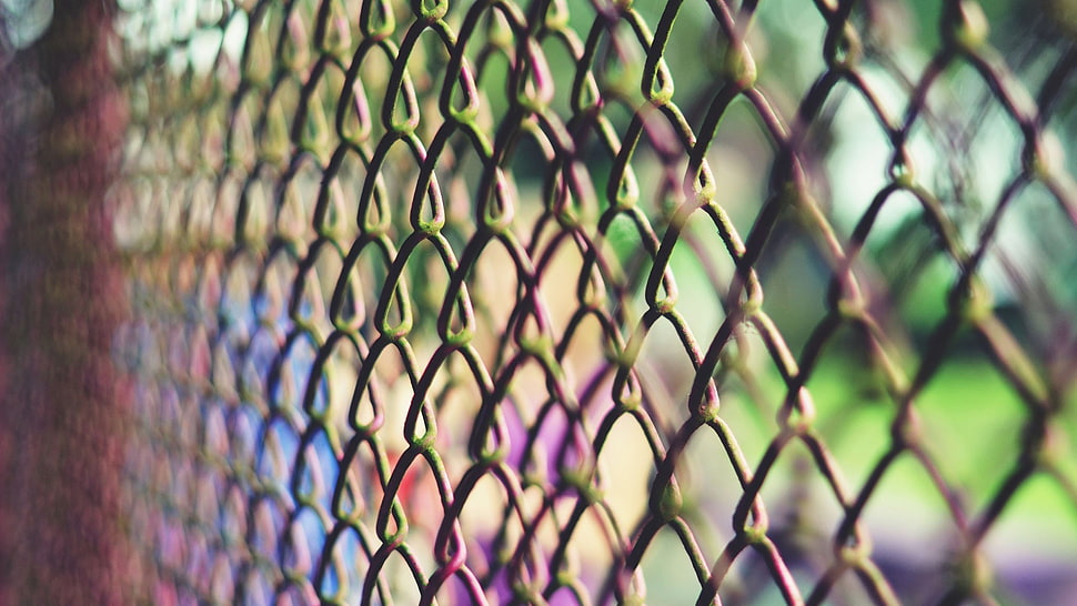 closeup photography of gray hog wire fence HD wallpaper