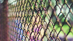 closeup photography of gray hog wire fence