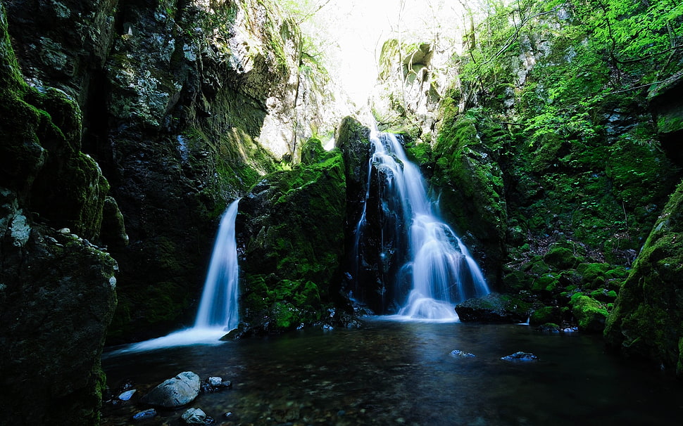 white waterfalls surrounded by green plants HD wallpaper