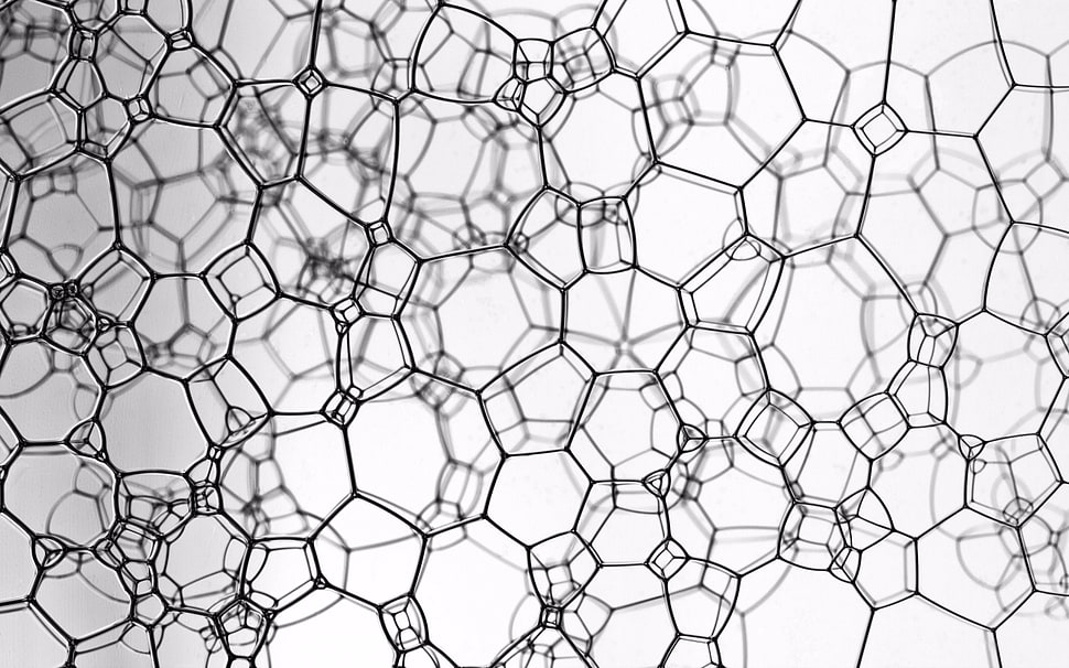 white and black area rug, abstract, Plexus HD wallpaper