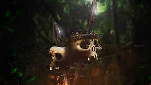 two skulls, skull, spear HD wallpaper