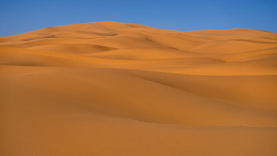 desert sand, sand, desert HD wallpaper